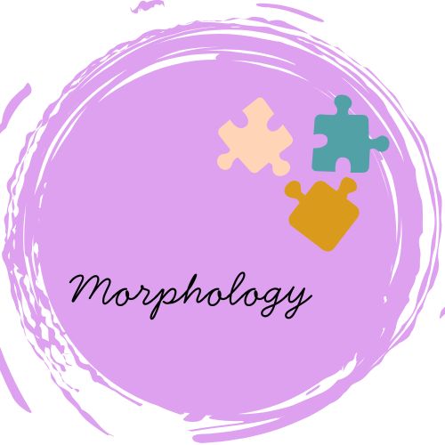 Morphology